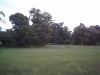 DSC 0000057