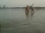 Photo-0011