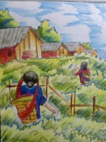 Photo0148