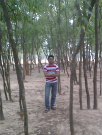 Photo0220 001