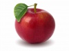 Eating-apples-extended-lifespan-test-animals-10-per-cent 183