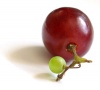 Peculiar grape